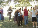 austin_celtic_fest_08 (112) (670x502, 87.3 kilobytes)